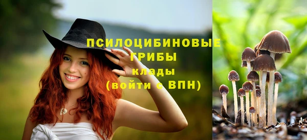 соль курить ск Беломорск