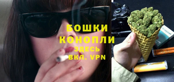 МДПВ Бородино